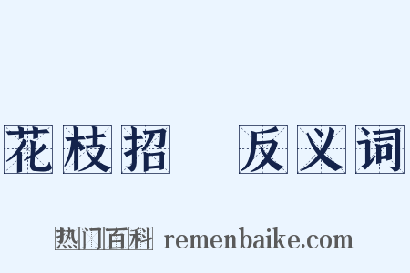 花枝招飐反义词是什么意思的图片